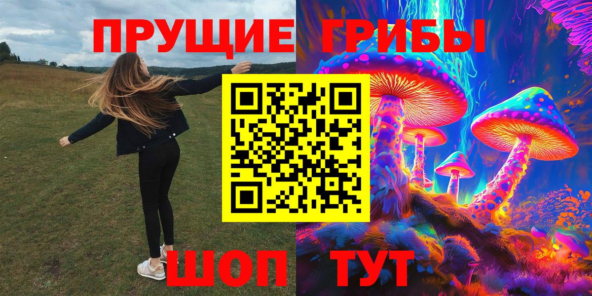 Псилоцибиновые грибы GOLDEN TEACHER Вятские Поляны